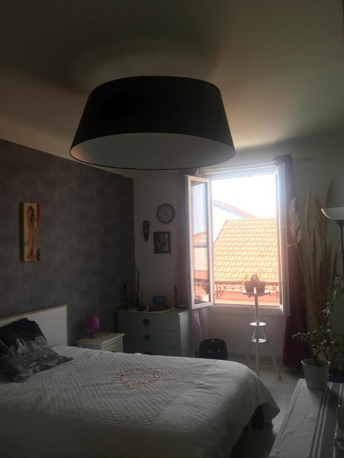 Belle Chambre Au Coeur De Bayonne Lejlighed Eksteriør billede